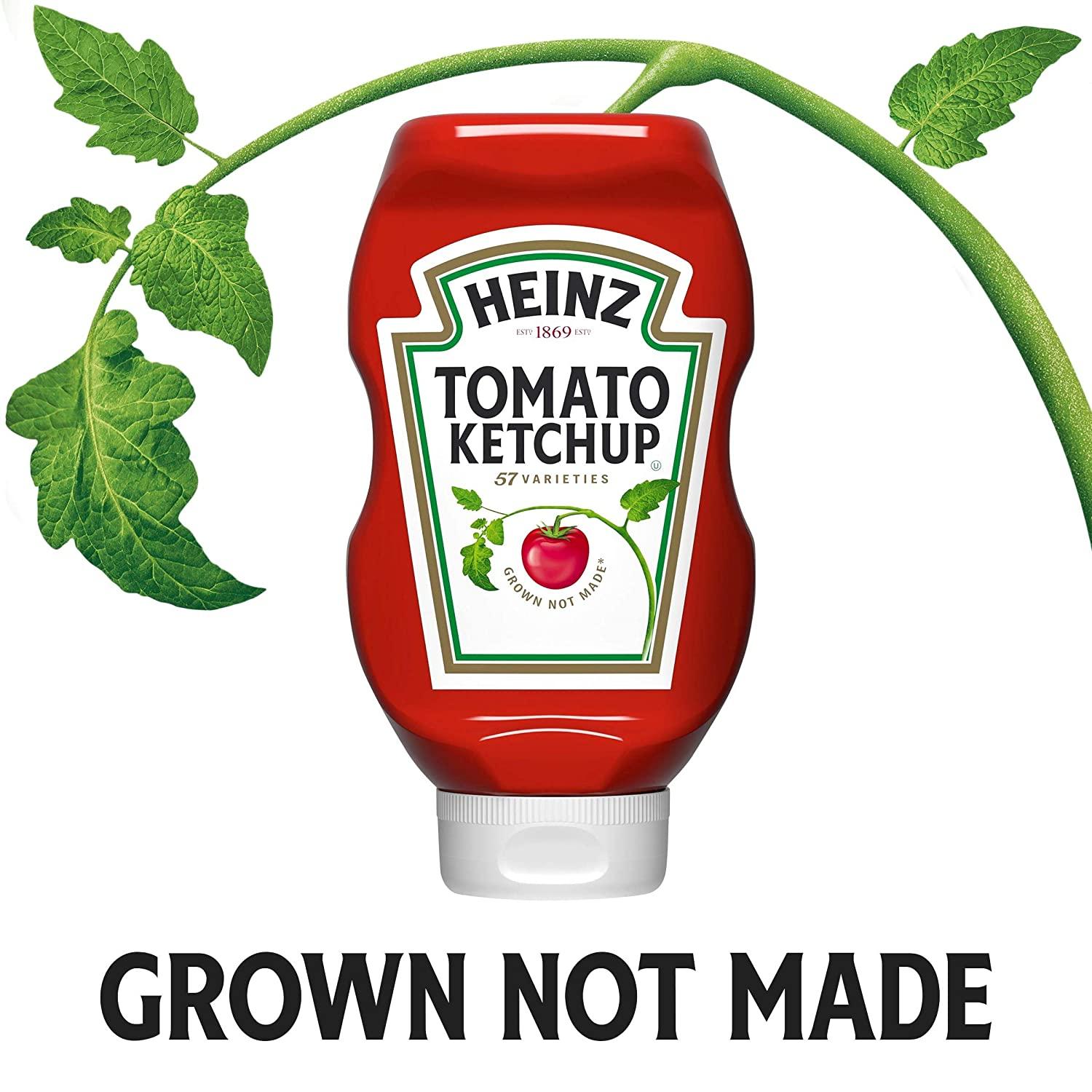 Heinz Tomato Ketchup (20 oz Bottles, Pack of 6) 20 Ounce (Pack of 6)